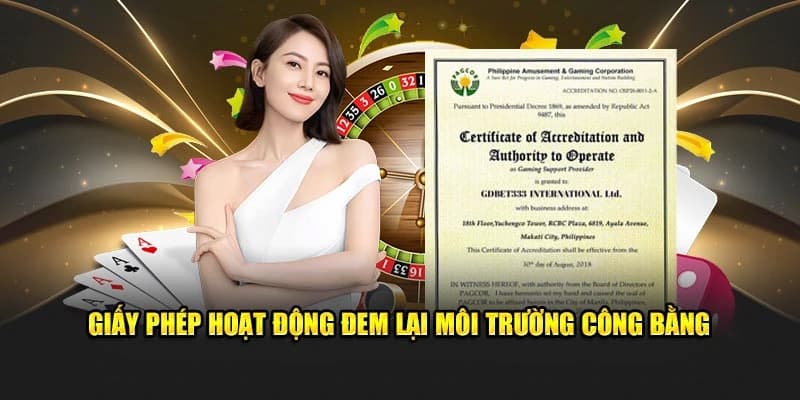 Giấy Phép Hoạt Động là gì?