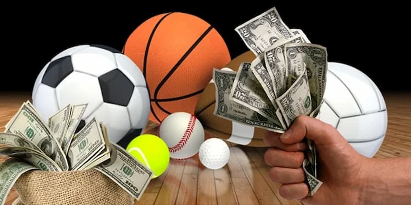 Mẹo cá cược hiệu quả tại Thể Thao 789Club